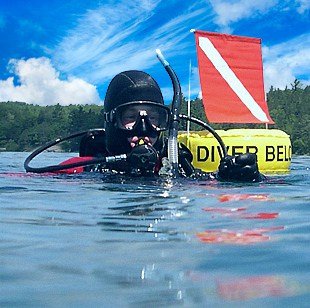 Scuba diving policy discussed by HSVPOA board